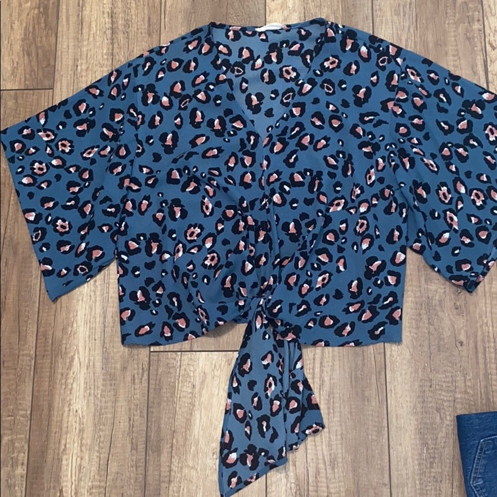 Cheetah Domain Top